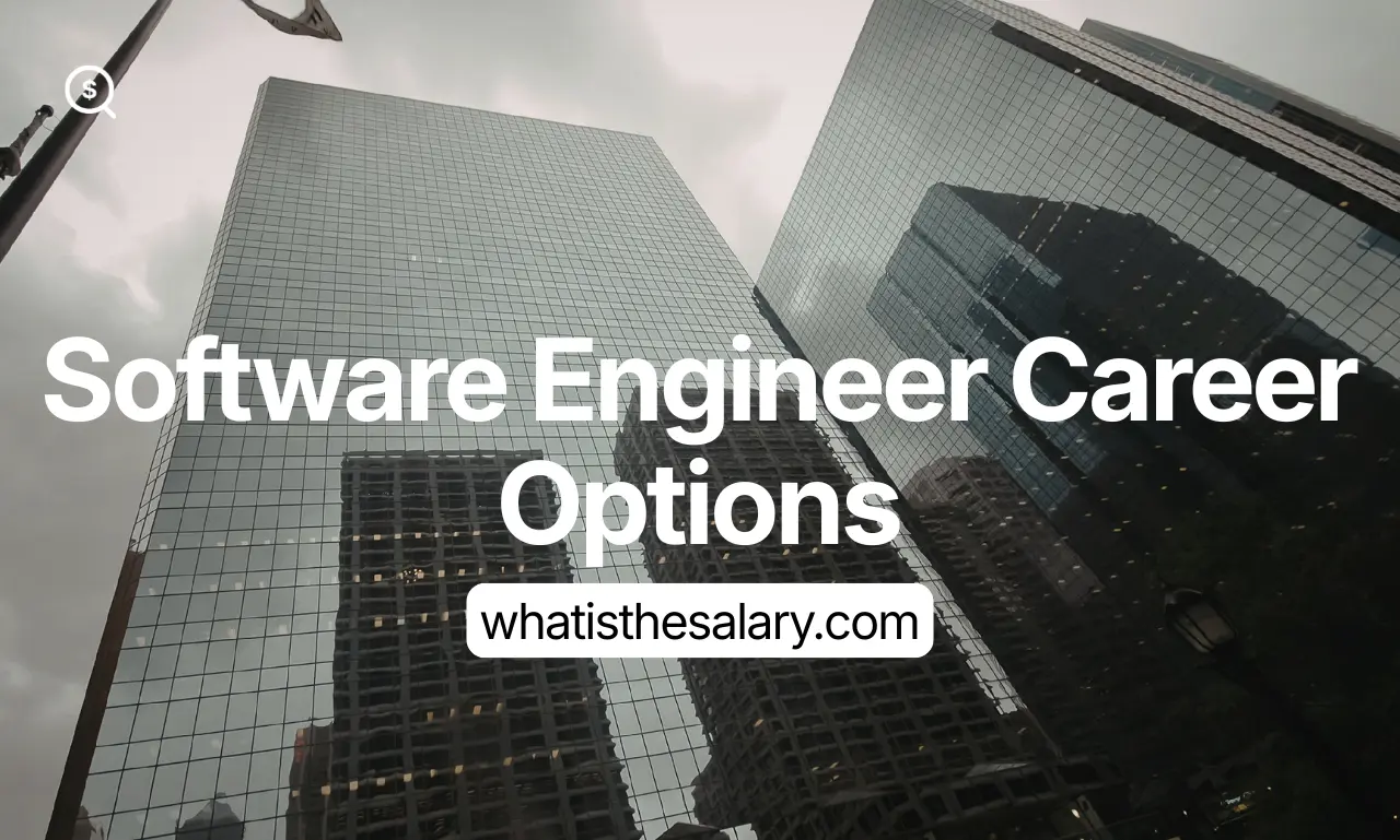 Software Engineer Career Options