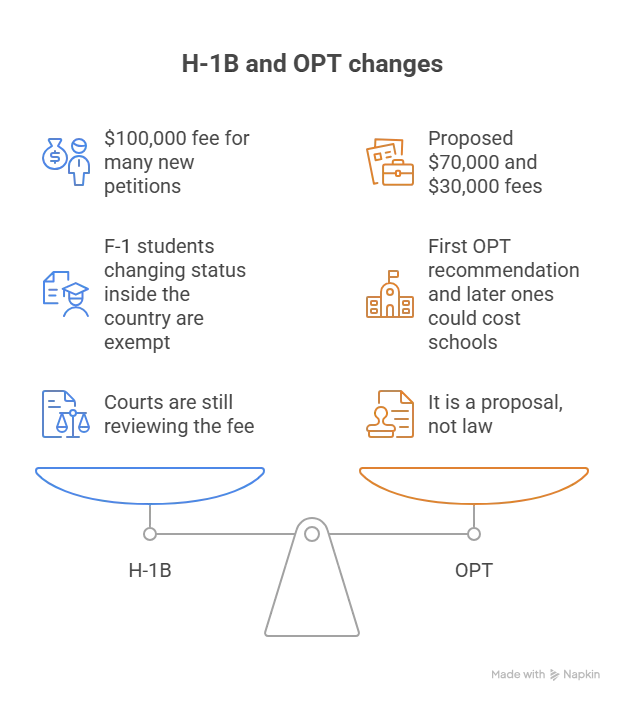 What H-1B and OPT Changes Mean for Your Search